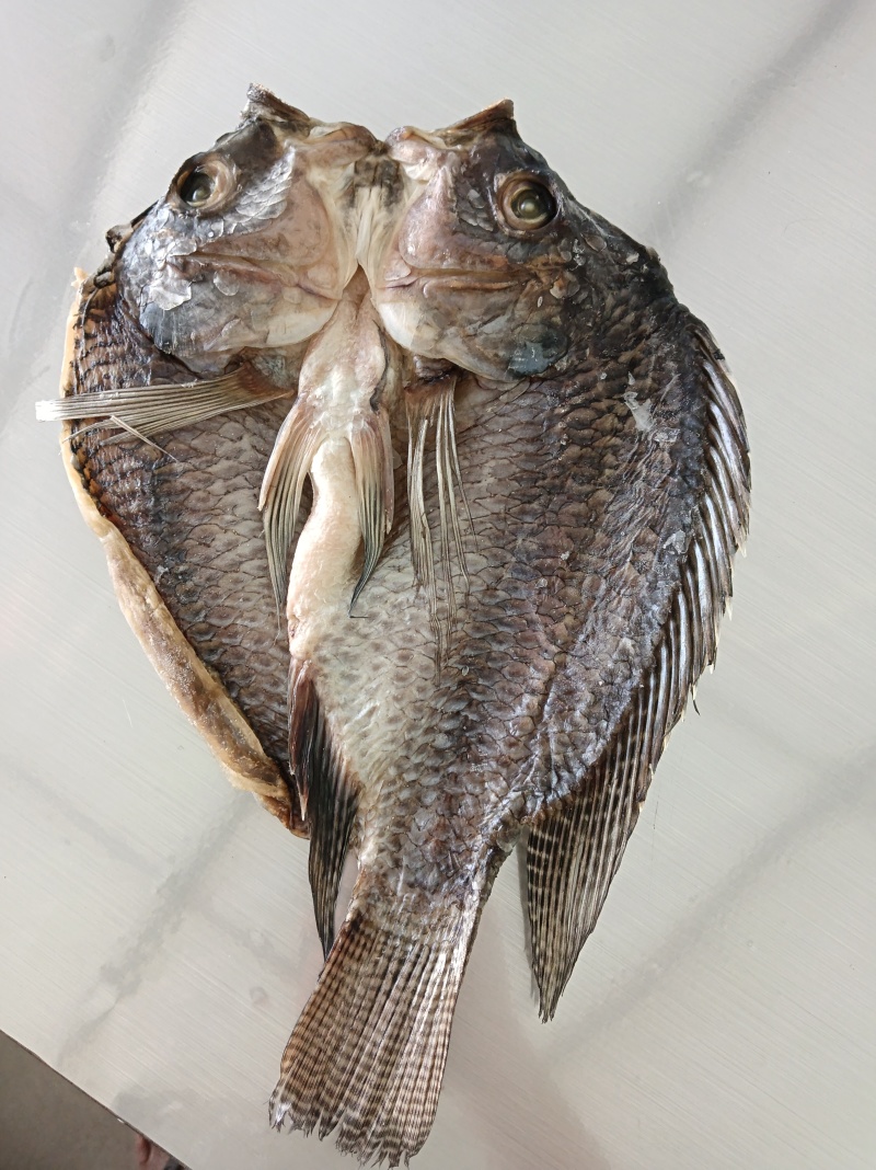 粗盐腌制