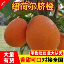 纽荷尔脐橙高山沙地主产皮薄多汁口感香甜品质高优
