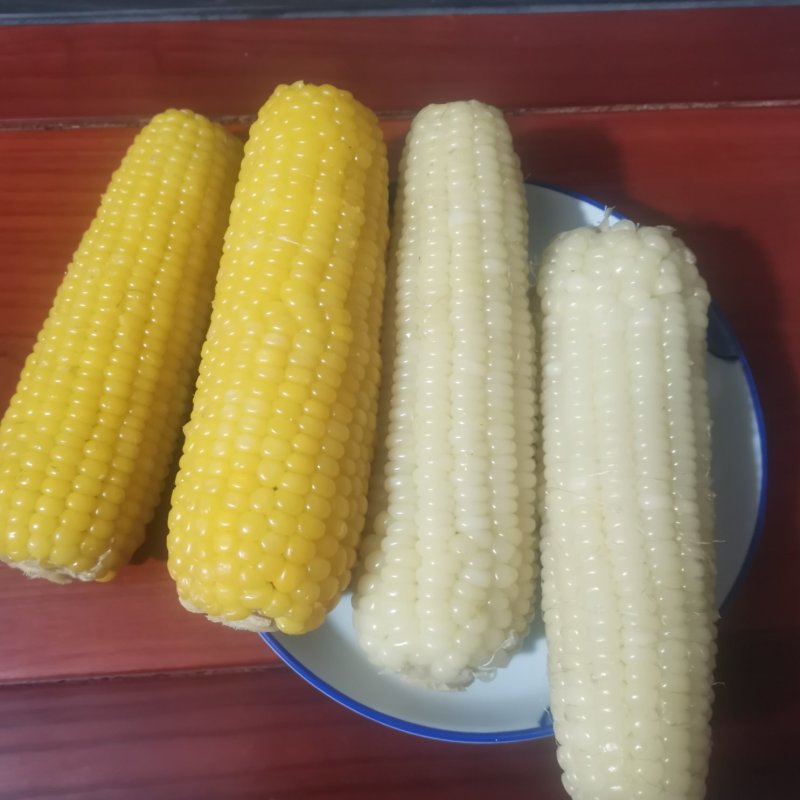 东北糯玉米