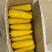 东北糯玉米