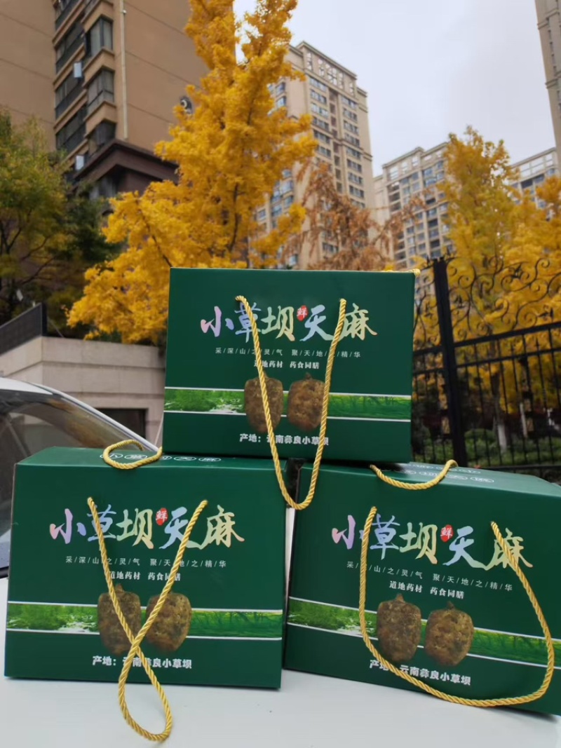 天麻大量有货基地直供品质优可视频看货欢迎咨询来电