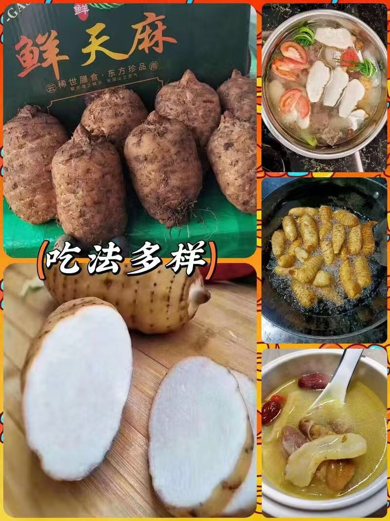 天麻大量有货基地直供品质优可视频看货欢迎咨询来电