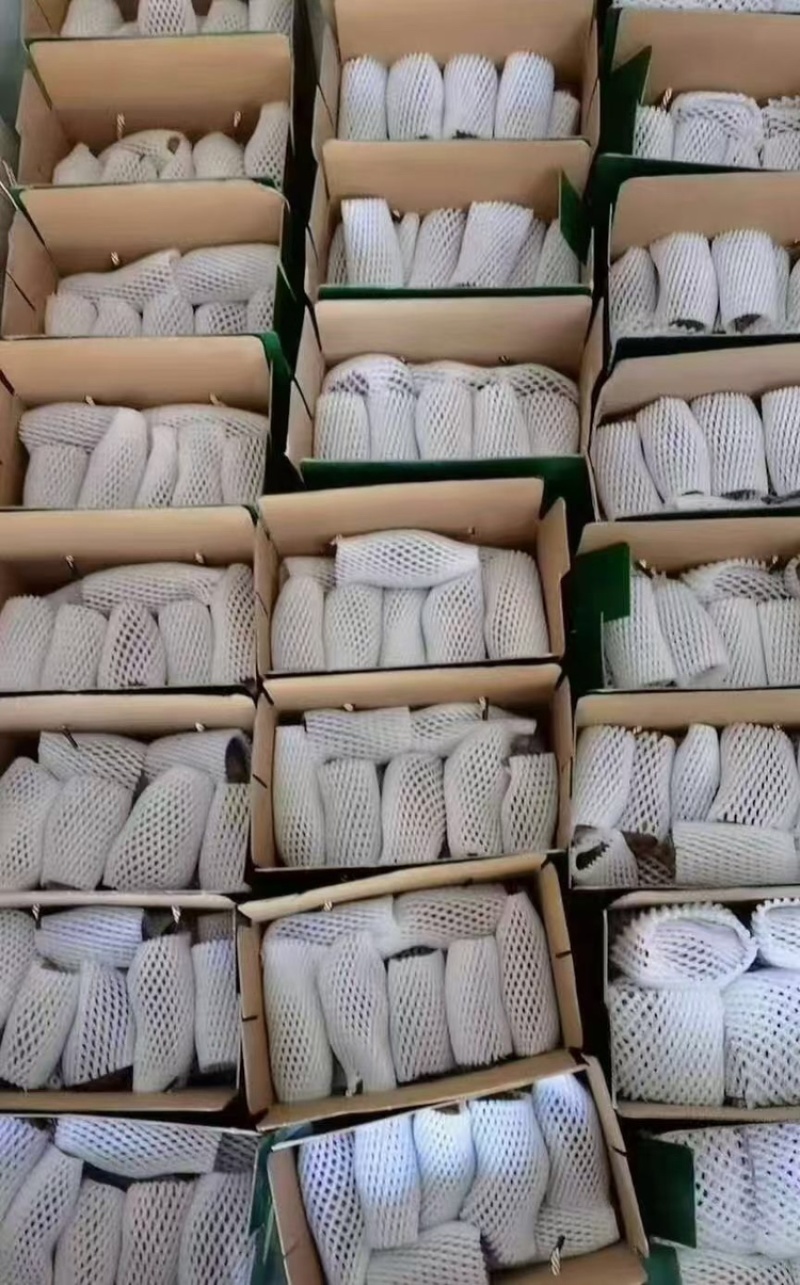 天麻大量有货基地直供品质优可视频看货欢迎咨询来电
