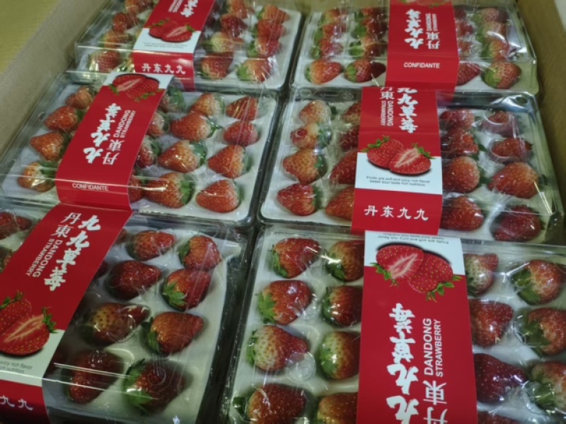 各种规格全有！白果红果线上线下全部对接