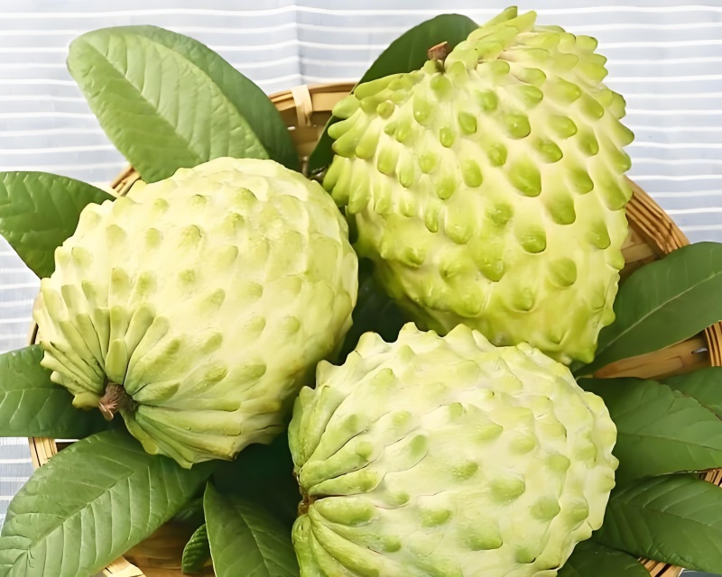 凤梨释迦果