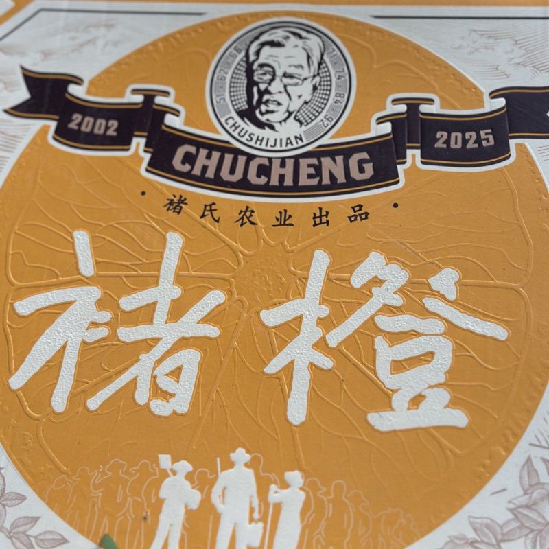 一件代发/批发褚橙果肉细腻多汁纯甜入口清香回甘清爽无比
