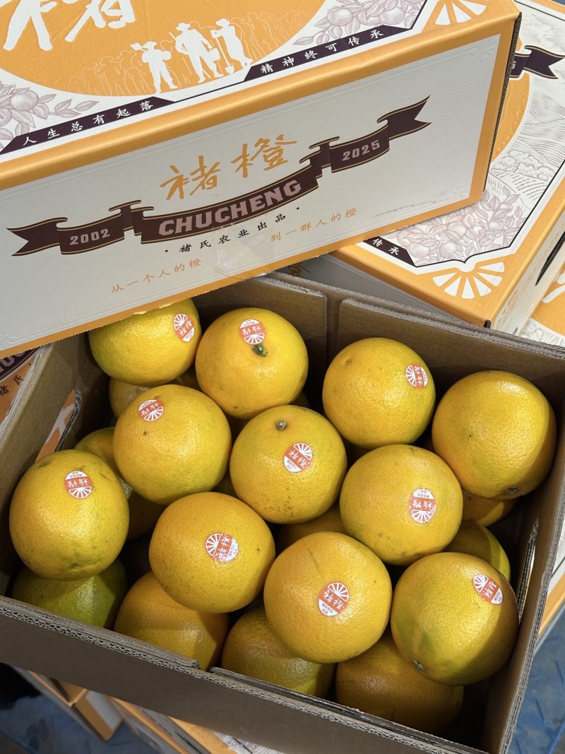 一件代发/批发褚橙果肉细腻多汁纯甜入口清香回甘清爽无比
