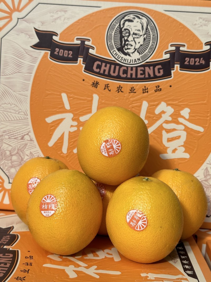 一件代发/批发褚橙果肉细腻多汁纯甜入口清香回甘清爽无比