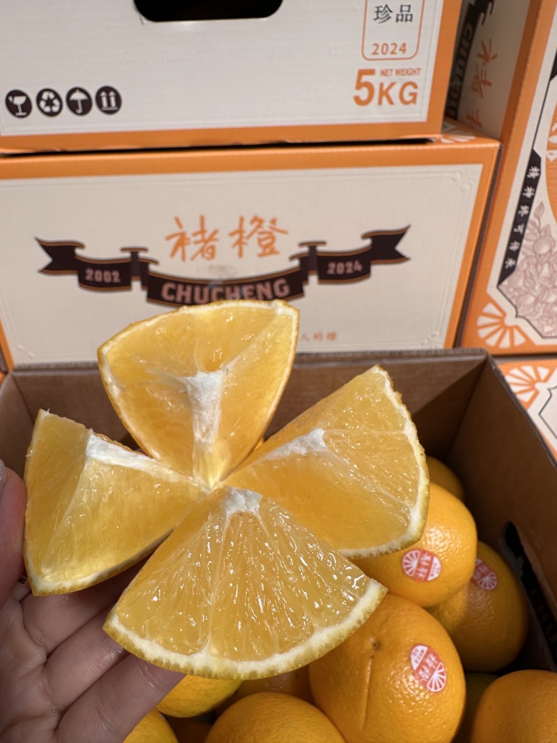 一件代发/批发褚橙果肉细腻多汁纯甜入口清香回甘清爽无比
