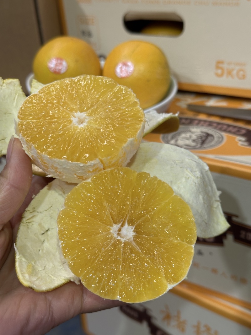一件代发/批发褚橙果肉细腻多汁纯甜入口清香回甘清爽无比