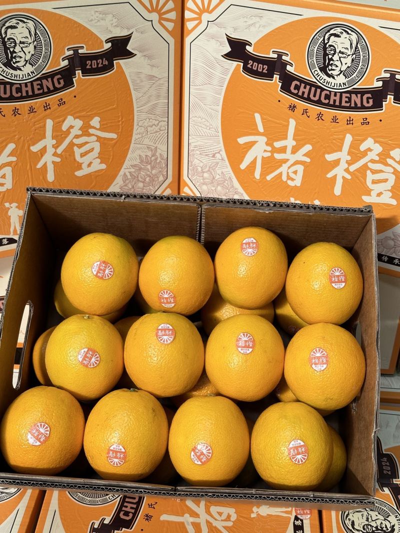 一件代发/批发褚橙果肉细腻多汁纯甜入口清香回甘清爽无比