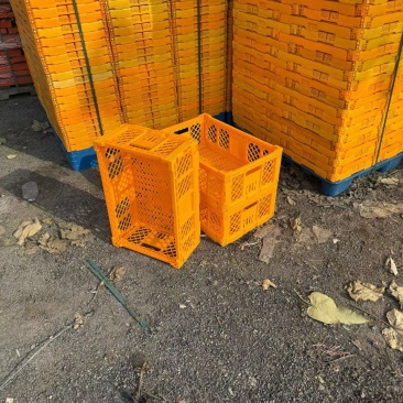 600-400-220折叠筐，现货还有5000