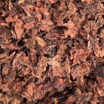 鸡蛋花【包邮】三斤起发货可批量可零售量大从优