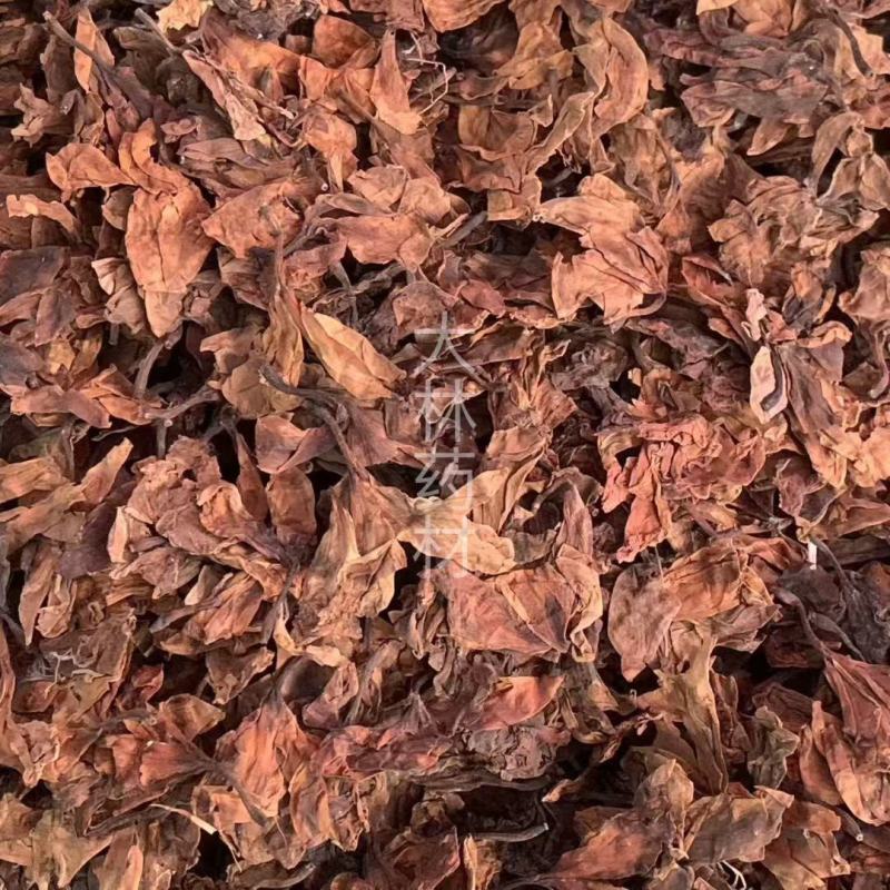 鸡蛋花【包邮】三斤起发货可批量可零售量大从优