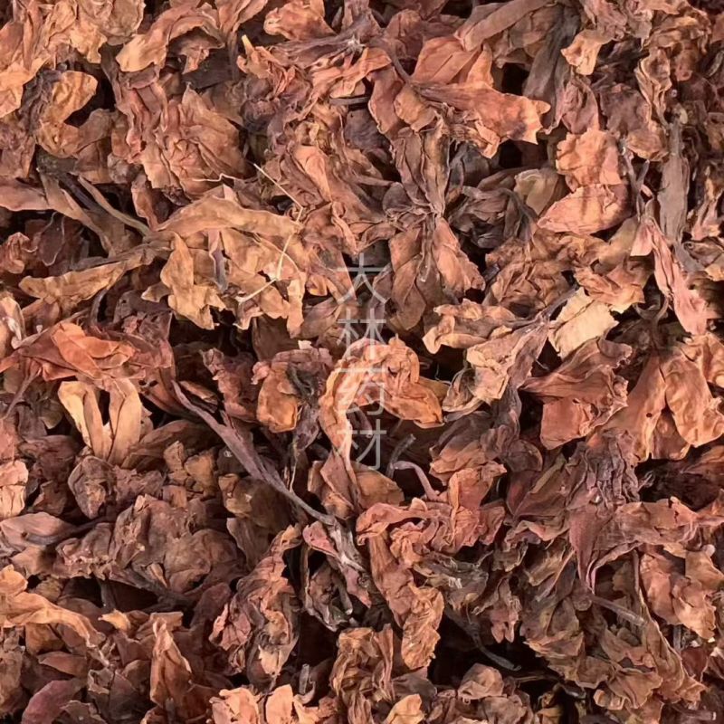 鸡蛋花【包邮】三斤起发货可批量可零售量大从优
