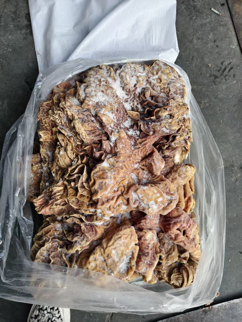 牛散带