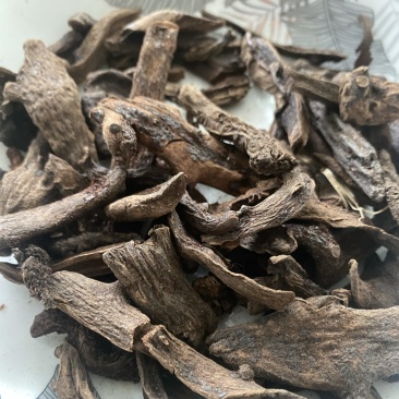 骨碎补一件代发量大从优
