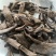 骨碎补一件代发量大从优