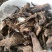 骨碎补一件代发量大从优