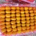 南丰县蜜橘/江西蜜橘/品质保证诚信经营对接批发市场超市等