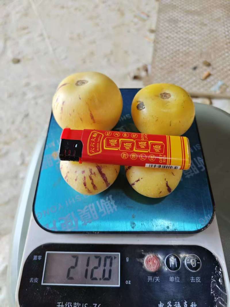 人参果