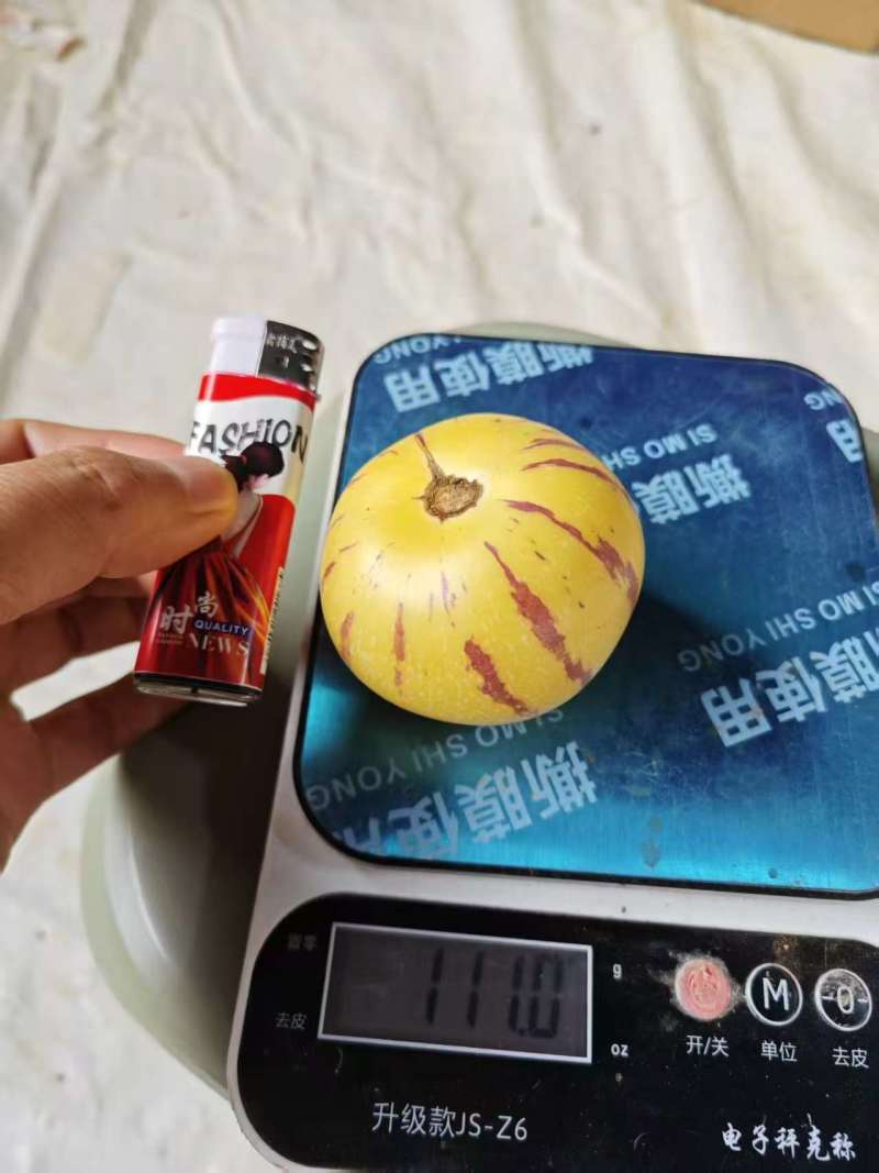 人参果