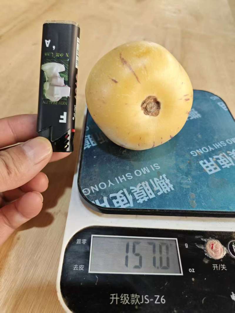 人参果