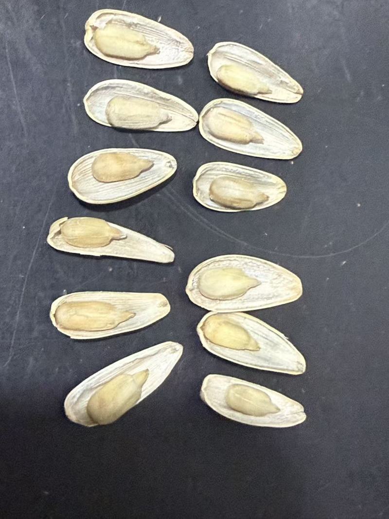 新鲜生，熟瓜子香脆可口健康零食随时享用家庭必备