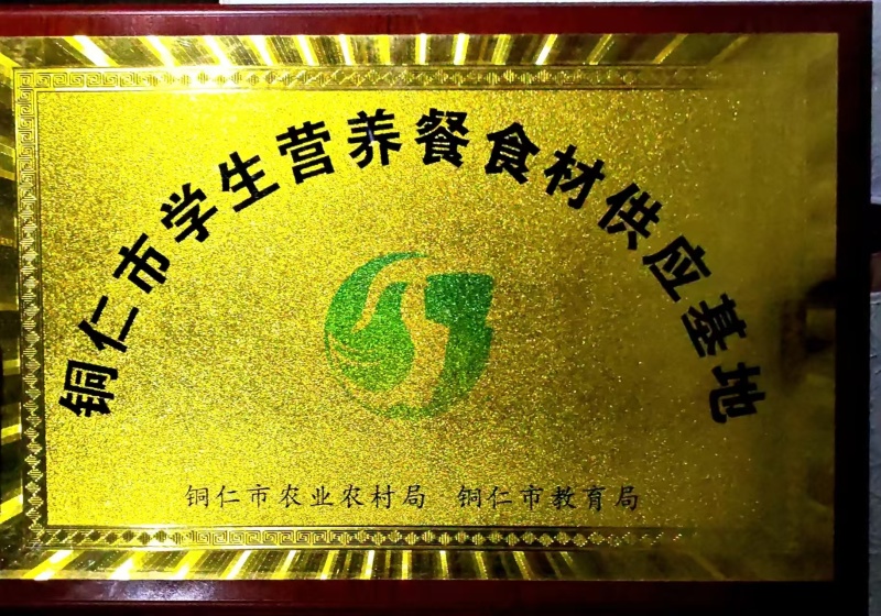 贵州高山二黄姜