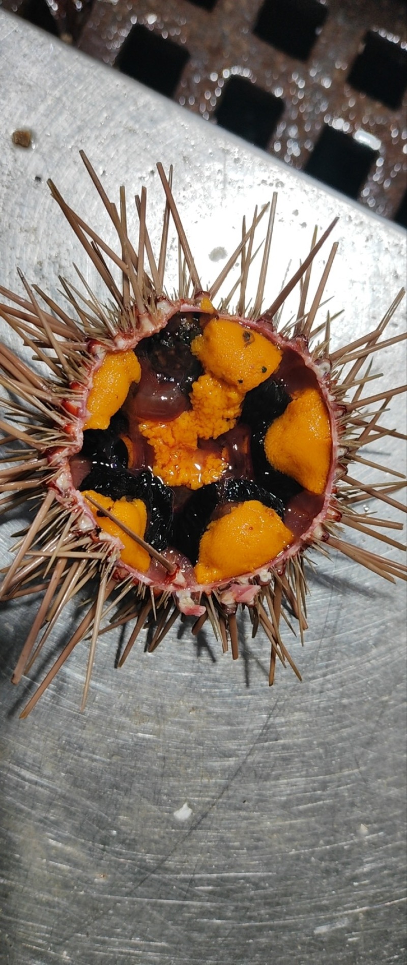 黄金海胆，一手货源，质量稳定，新鲜，发货量大从优
