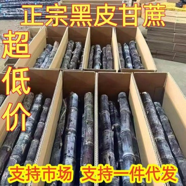 正宗黑色甘蔗支持一件代发