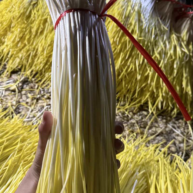 为民卖蒜黄，源头产地质量有保障