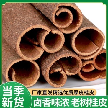 正宗桂皮全干无硫烟桂火锅底料卤料调料广东桂皮