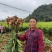 正宗小黄姜支持一件代发