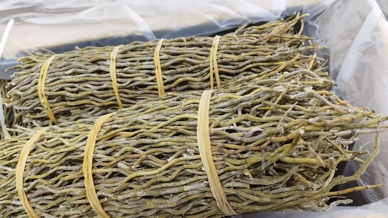 铁皮石斛条精品，石斛条打粉用，代购代销各种中药材