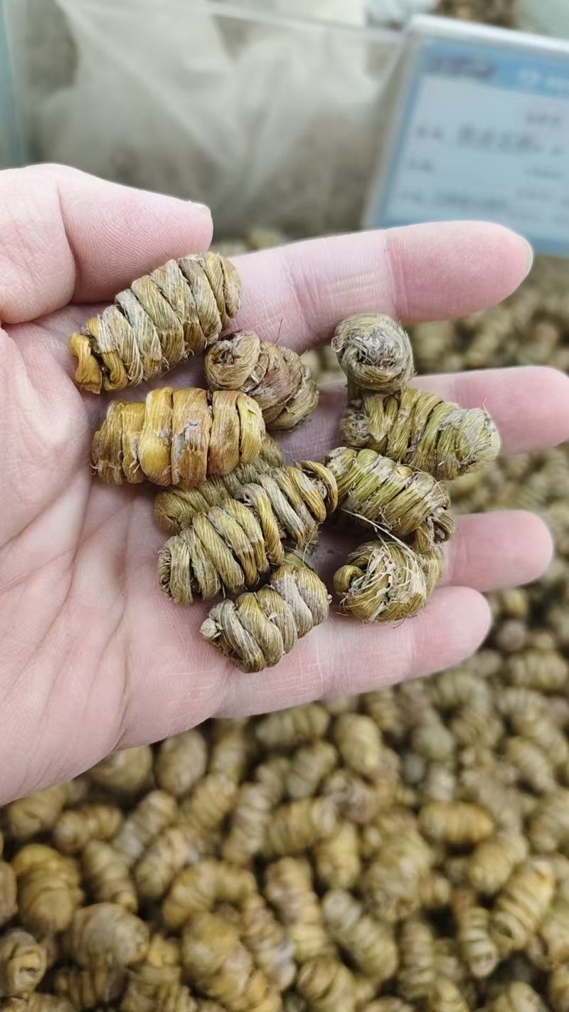 石斛卷，铁皮石斛枫斗，紫皮石斛枫斗规格齐全批发零售