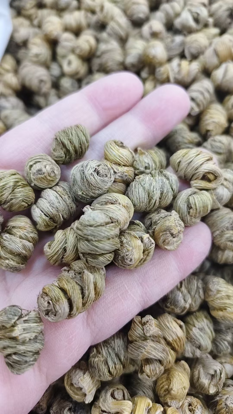 石斛卷，铁皮石斛枫斗，紫皮石斛枫斗规格齐全批发零售