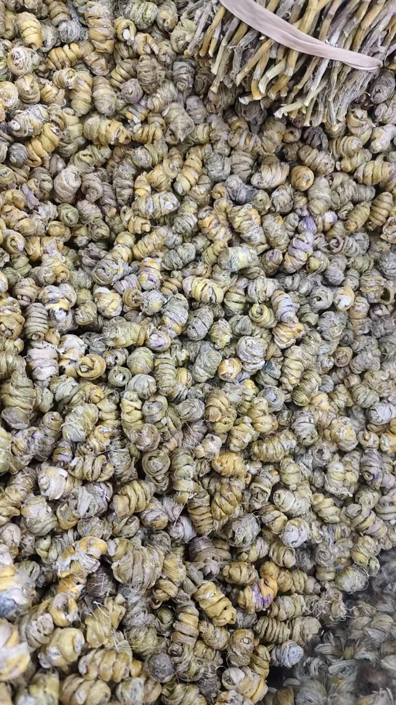 石斛卷，铁皮石斛枫斗，紫皮石斛枫斗规格齐全批发零售