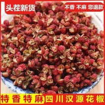 四川正宗麻椒无籽大红袍花椒粒粉炖肉料特香麻调味干批发食用