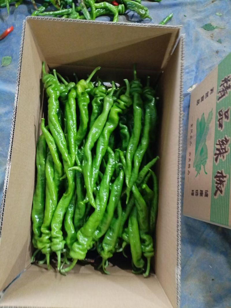 4~5批大量上市
