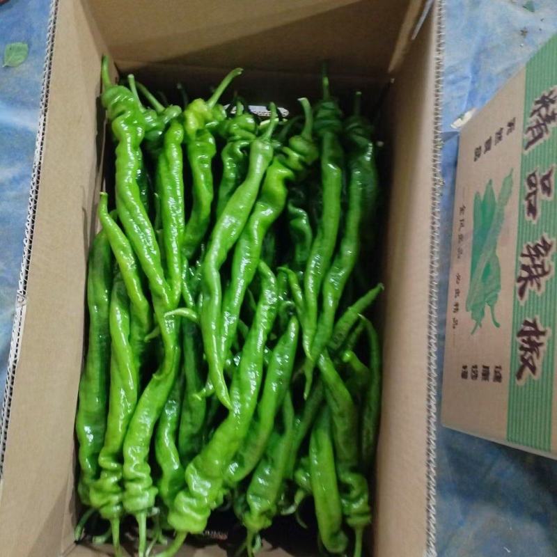 4~5批大量上市