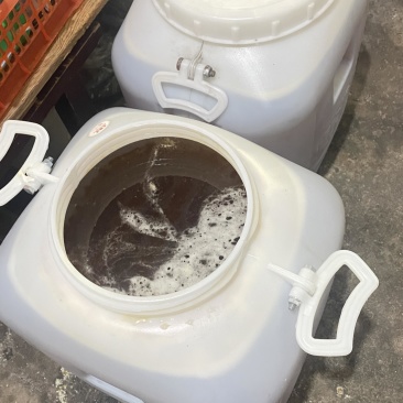自家养殖土蜂蜜