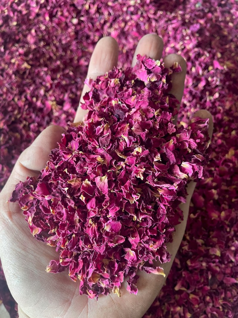 玫瑰花瓣干净如图