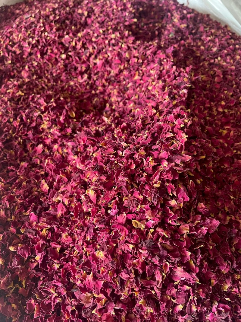 玫瑰花瓣干净如图