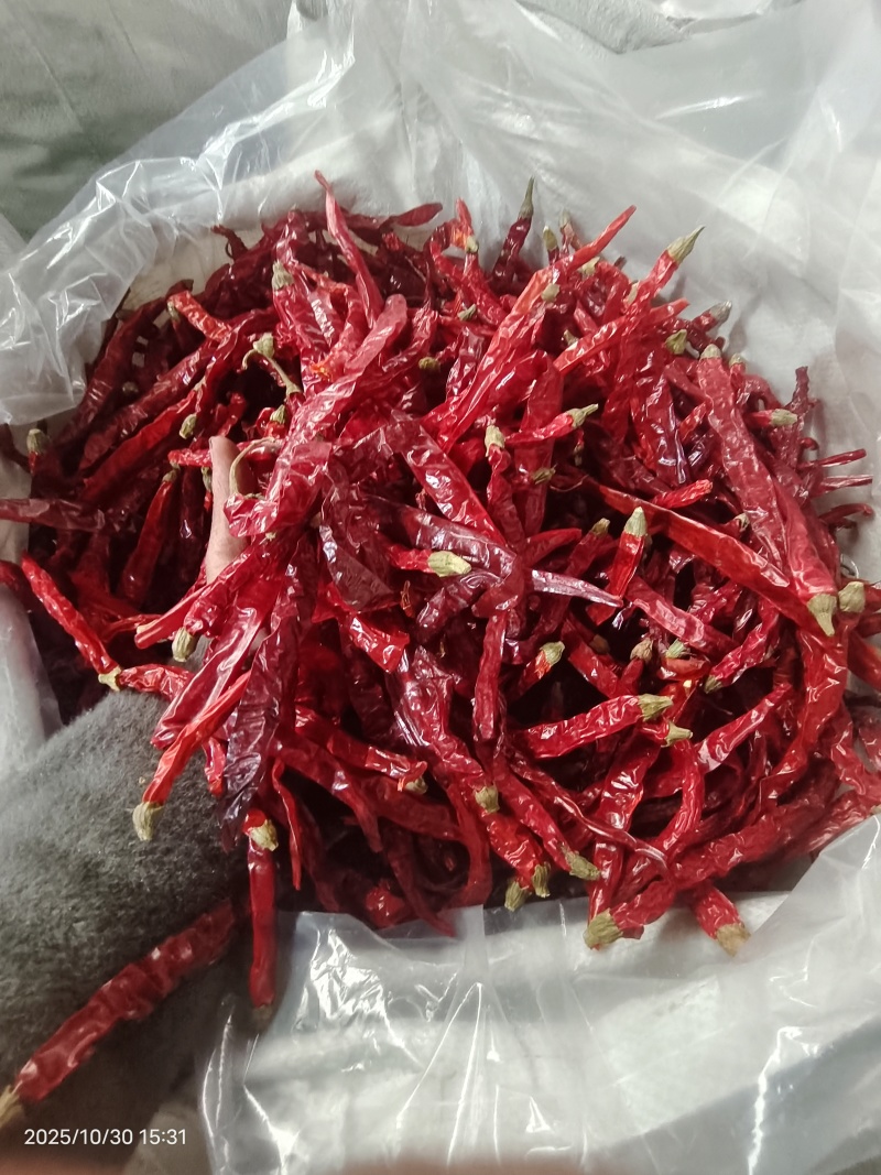 二荆条干辣椒去把精品货干辣椒大量供应全年有货欢迎来