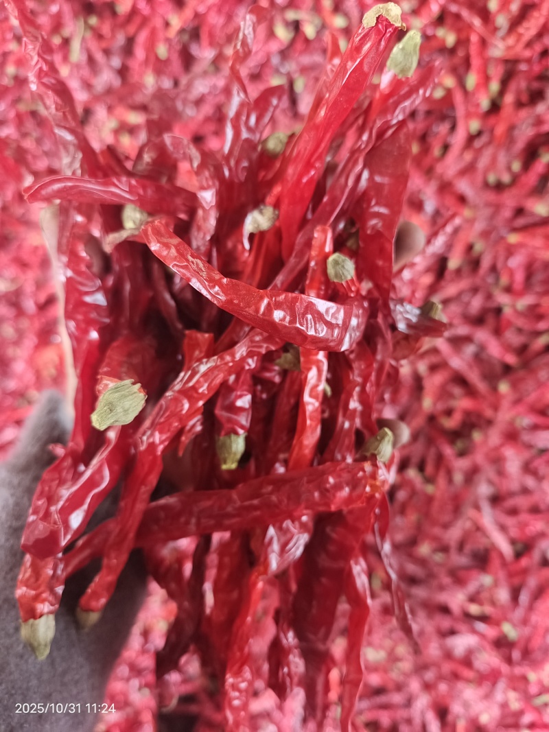二荆条干辣椒去把精品货干辣椒大量供应全年有货欢迎来