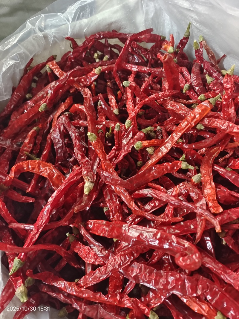 二荆条干辣椒去把精品货干辣椒大量供应全年有货欢迎来