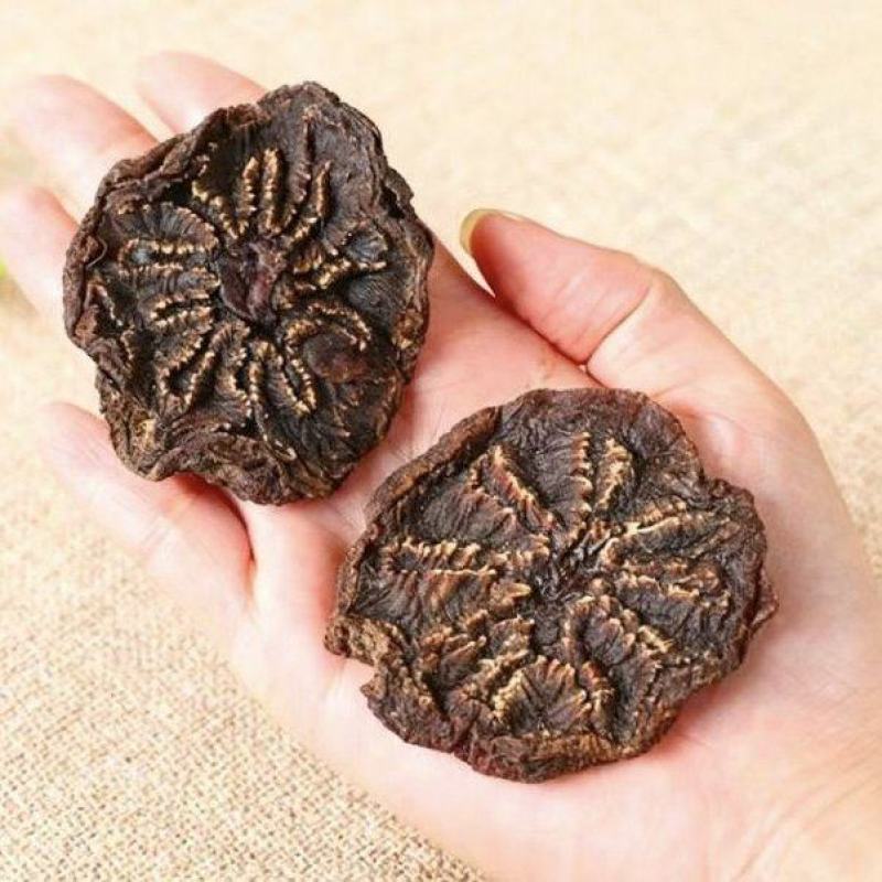稳定供货和田沙漠肉苁蓉切片干净大颗粒