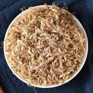 生麦芽中药材炒麦芽无硫***麦芽康养斋中药材
