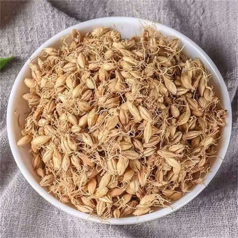 生麦芽中药材炒麦芽无硫***麦芽康养斋中药材